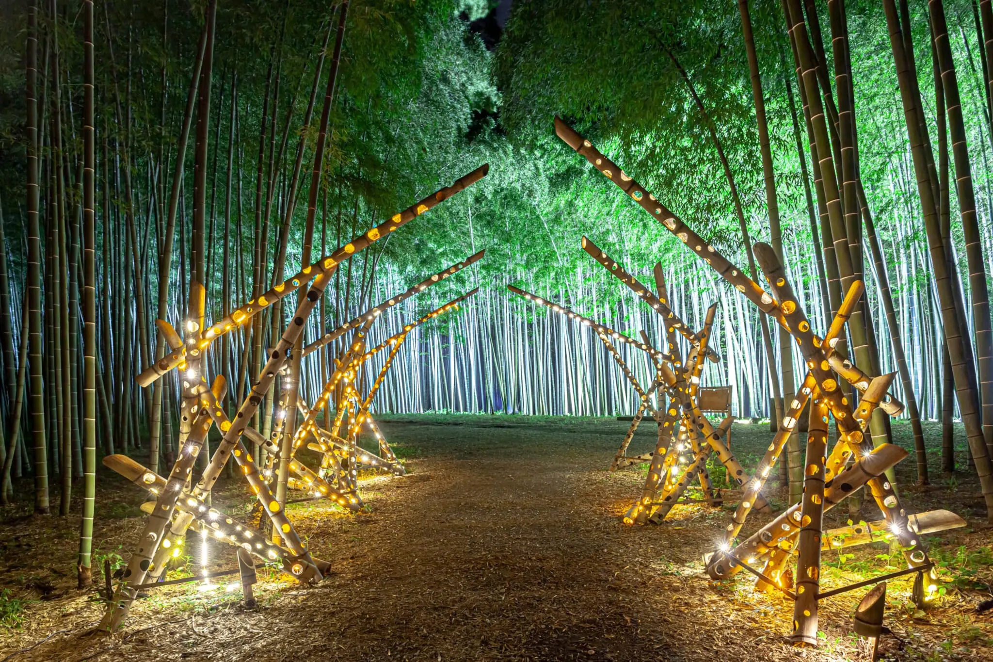 Rừng tre ở Trang trại Wakatake no Mori Wakayama rung-tre-trang-trai- wakatake-no-mori-wakayama